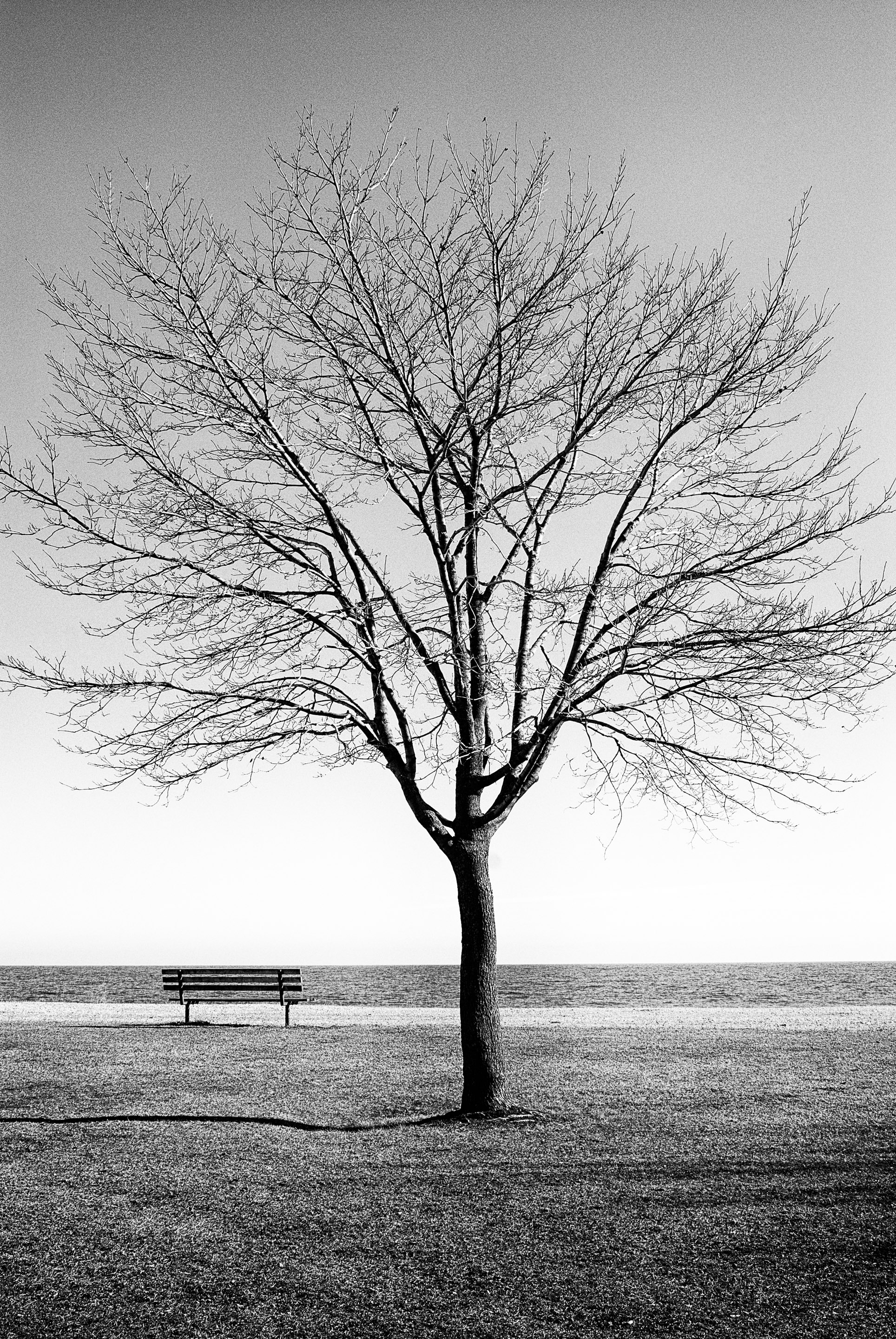 Landscapes