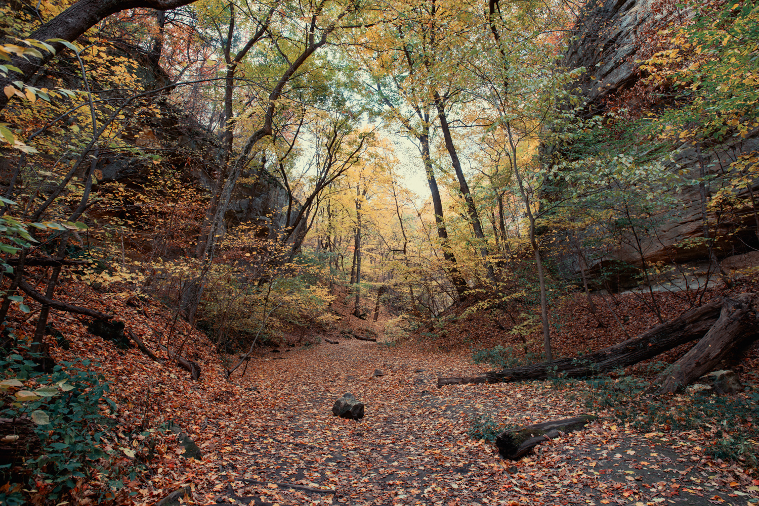 Cover images 001 2